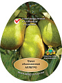 Саженцы Груша, Аллегро, летняя, зелено-желтая с розовым румянцем, 7516081
