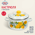 Кастрюля эмалированная сталь, 5.5 л, крышка сталь, сферический, Сибирские товары, Лимоны, 3MC221P, индукция
