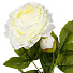 Цветок искусственный Пион, 60 см, белый, Y4-6932 - фото 2