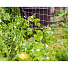 Сетка садовая для гороха, пластмасса, ячейка 45 х 45 мм, 100х600 см, У-45/1/6 - фото 3