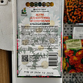 Семена Цветы, Астра, Красный ковер, 0.2 г, низкорослая, цветная упаковка, Поиск - фото 2