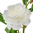 Цветок искусственный декоративный Пион, 64 см, белый, Y4-7937 - фото 2