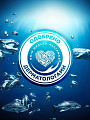 Шампунь Head &amp;amp; Shoulders, Detox Глубокое очищение Снятие зуда, против перхоти, 300 мл - фото 6