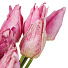 Цветок искусственный декоративный Тюльпаны, 45 см, фиолетовый, Y6-10411 - фото 2