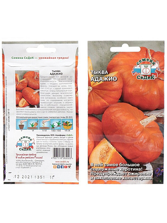 Семена Тыква, Адажио, цветная упаковка, Седек