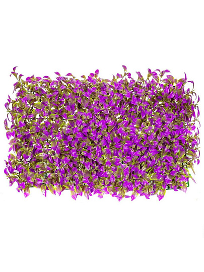 Декоративная панель Трава Purple Chili leaf, 40х60х5 см, Y4-4005