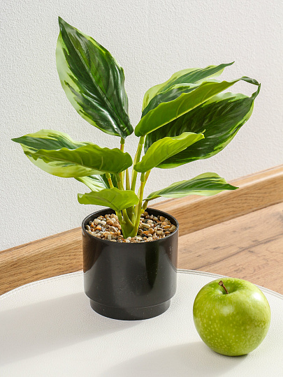 Цветок искусственный декоративный Фикус в кашпо, 36 см, в ассортименте, Y4-11111