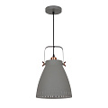 Светильник потолочный Camelion New York PL-428L C73 60 Вт E27 серый + медь