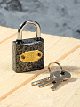 Замок навесной BARTEX чугунный 32мм Влагонепроницаемый, блистер, 3 ключа, 504659