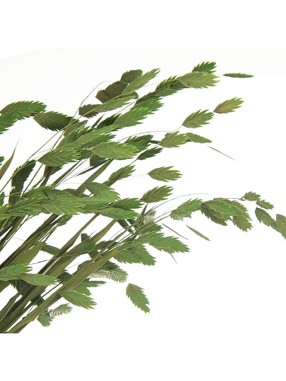 Цветок искусственный декоративный Ветвь, 60 см, зеленый, Y4-6304