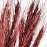 Цветок искусственный декоративный Колосья, 70 см, коричневый, Y6-10403 - фото 2