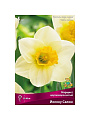 Луковицы Нарцисс крупнокорончатый, Йеллоу Салом - фото 2