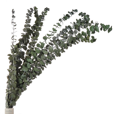Цветок искусственный декоративный Ветвь, 60 см, темно-зеленый, Y6-10348