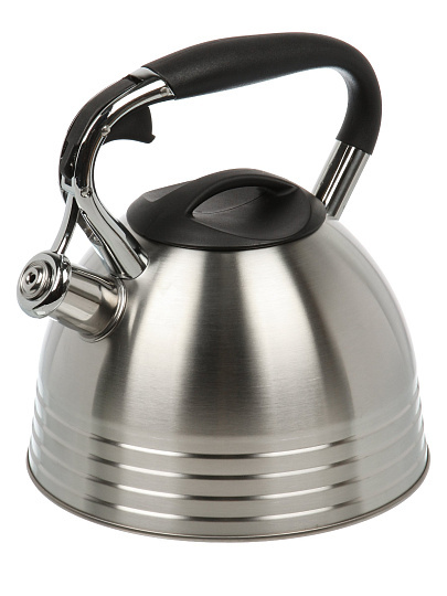 Чайник нержавеющая сталь, 2.7 л, со свистком, матовый, сталь 304, ручка с силиконовым покрытием, Daniks, индукция, PR-2201