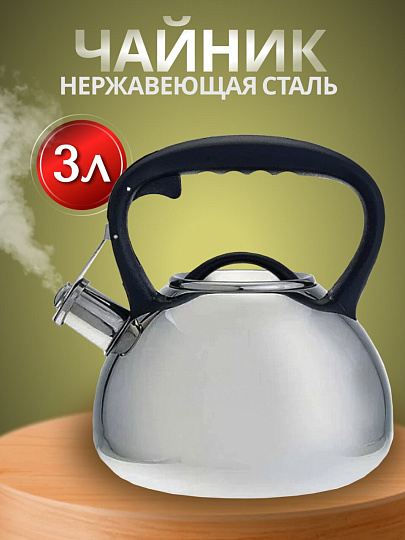 Чайник нержавеющая сталь, 3 л, со свистком, зеркальный, ручка пластиковая, Alpenkok, индукция, AK-516