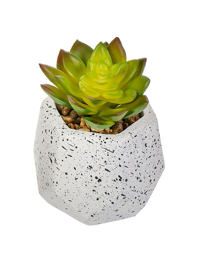 Цветок искусственный декоративный Суккулент, в кашпо, 9х9х11 см, зеленый, Y4-6918