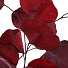 Цветок искусственный декоративный Ветвь, 60 см, красный, Y4-7164 - фото 2