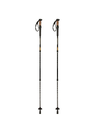 Палки для скандинавской ходьбы, 65-135 см, 2 шт, карбон, рост 145-200 см, C120002