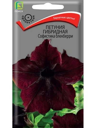 Семена Цветы, Петуния, Софистика гибридная (блекберри), цветная упаковка, Поиск