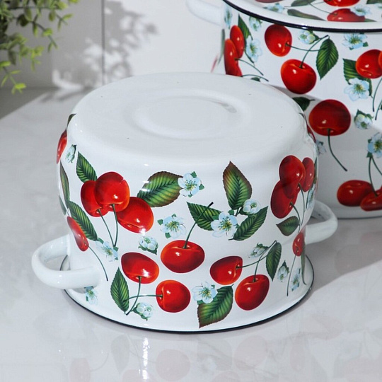 Набор посуды эмалированная сталь, 4 предмета, кастрюли 4,5.5 л, Сибирские товары, Сочная вишня 10, N10B58