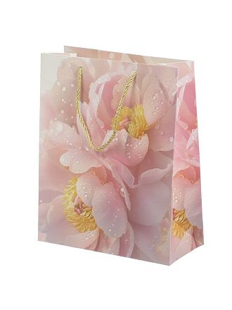 Пакет подарочный бумага, 26х12х32 см, в ассортименте, Цветы, Y4-9085