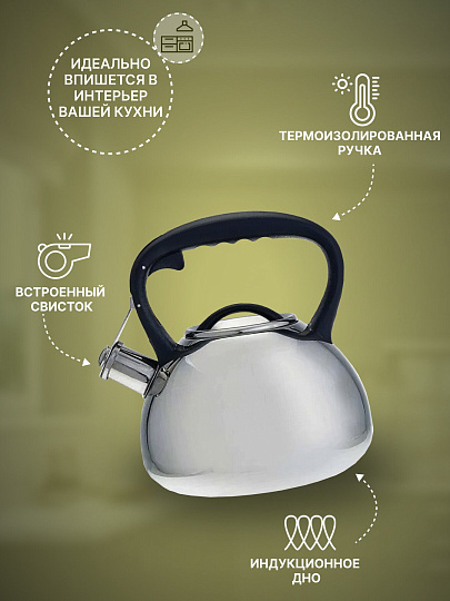 Чайник нержавеющая сталь, 3 л, со свистком, зеркальный, ручка пластиковая, Alpenkok, индукция, AK-516