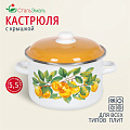Кастрюля эмалированная сталь, 5.5 л, с крышкой, крышка сталь, цилиндрическая, СтальЭмаль, Грушевый сад, 6RD221M, белоснежная - фото 6