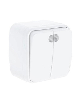 Выключатель открытой установки, двухклавишный, без заземления, 10 А, подсветка, IP20, белый, TDM Electric, Дача, SQ1824-0004