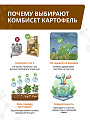 Набор для баковой смеси Комбисет Картофель, от вредителей и болезней картофеля, 3в1 шт, Агрусхим - фото 8