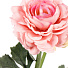 Цветок искусственный декоративный Пион, 50 см, персиковый, Y4-7956 - фото 2