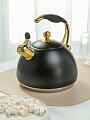 Чайник нерж, 3 л, свист, мат, Daniks, индукц, WT-T1054-BLK - фото 2