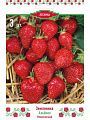 Саженцы Земляника садовая, Альбион, 3 шт, 678351