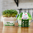 Набор для выращивания Микрозелень, Кресс-салат, Моя микрозелень, Здоровья клад - фото 3