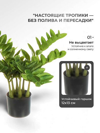 Цветок искусственный декоративный Замиокулькас, в кашпо, 60 см, Y4-8806