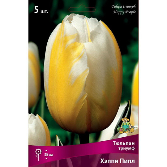 Луковицы Тюльпан Триумф, Хэппи Пипл, 12+/К, 5 шт