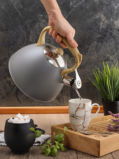 Чайник нержавеющая сталь, 3 л, со свистком, матовый, ручка с силиконовым покрытием, Daniks, индукция, серый, MSY-079G/GS-04075C