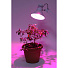 Лампочка светодиодная для растений, E27, 12 Вт, Эра, Фито FITO-12W-RB-E27-K, Б0039070 - фото 7