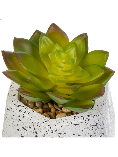 Цветок искусственный декоративный Суккулент, в кашпо, 9х9х11 см, зеленый, Y4-6918