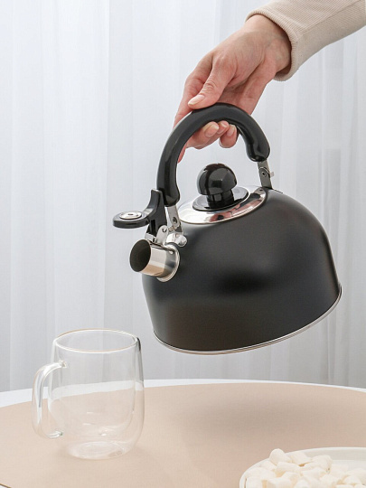 Чайник нержавеющая сталь, 2.5 л, со свистком, матовый, ручка металлическая, Daniks, индукция, черный, GS-04001