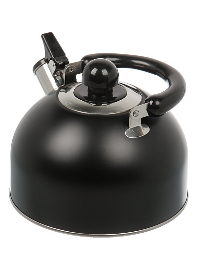 Чайник нержавеющая сталь, 2.5 л, со свистком, матовый, ручка металлическая, Daniks, индукция, черный, GS-04001