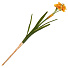 Цветок искусственный декоративный Нарцисс, 40 см, желтый, Y4-7955 - фото 2