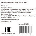 Пакет подарочный бумага, 18х7.5х21.5 см, в ассортименте, голографический, Y6-2466 - фото 3