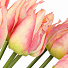 Цветок искусственный декоративный Тюльпаны, 45 см, персиковый, Y6-10412 - фото 2