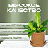 Кашпо керамика, 16х15.5 см, для цветов, латте, Лидер №2, 4089 - фото 7