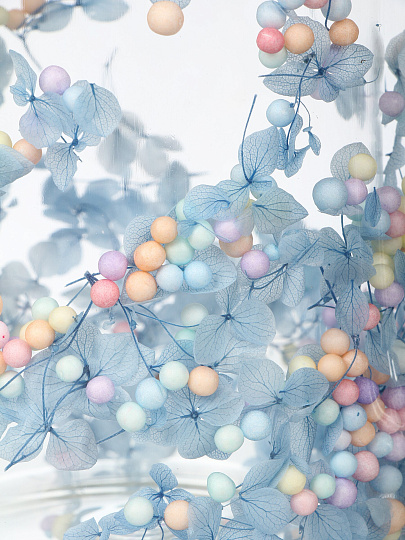 Френч-пресс 1 л, стекло, Сухоцветы, Y4-11357