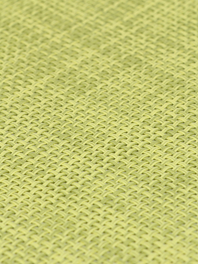 Салфетка для стола ПВХ, 45х30 см, прямоугольная, салатовая, Рыжий кот, PVM-03