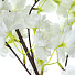 Цветок искусственный декоративный Яблоневый цвет, 100 см, белый, Y4-7925 - фото 2