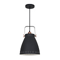 Светильник потолочный Camelion New York PL-428L C62 60 Вт E27 черный + медь