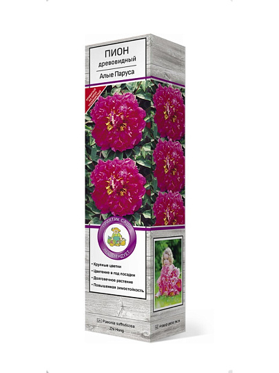 Саженцы Пион древовидные, Алые паруса, обычные сорта, красный, корончатый, средний