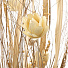Цветок искусственный декоративный Композиция Сухоцвет, 150 см, Y4-3528 - фото 2